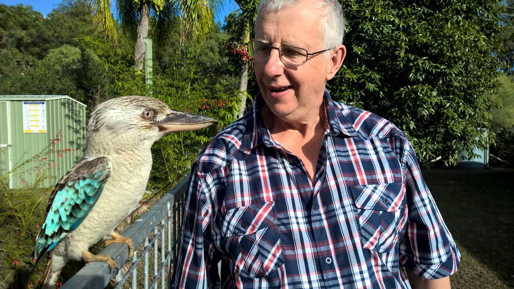 Magnetic Island Bed And Breakfast Horseshoe Bay エクステリア 写真